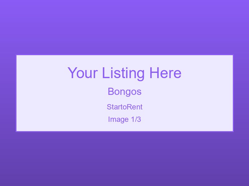 Professional Bongos For Rent