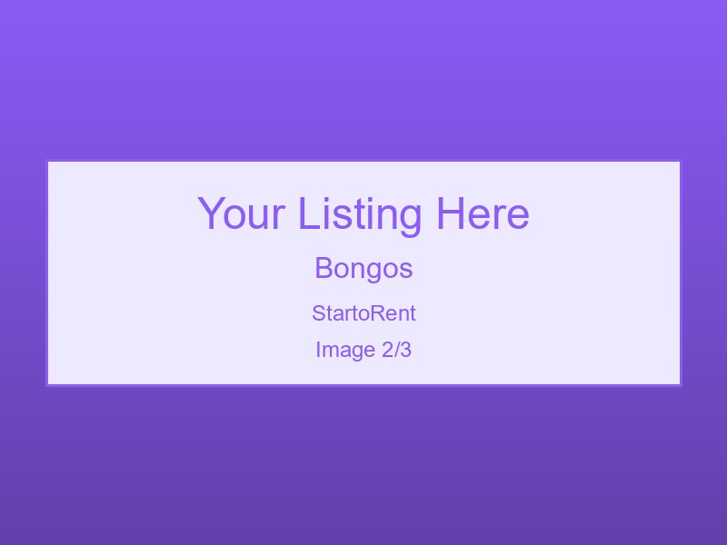 Professional Bongos For Rent